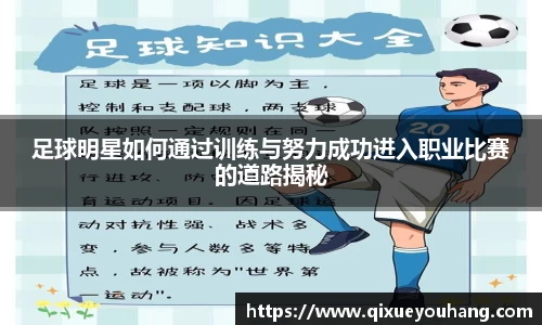 雷火电竞官方网站入口